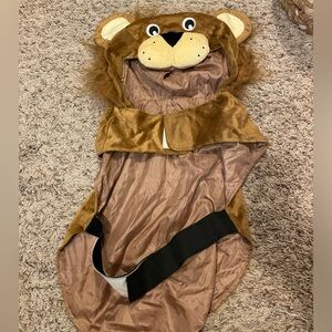 Lion costume for dog